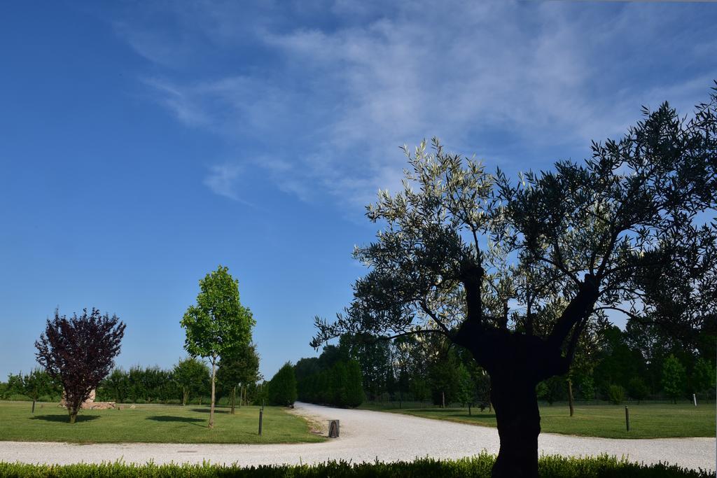 Tenuta Monterosso Feriole Exteriér fotografie